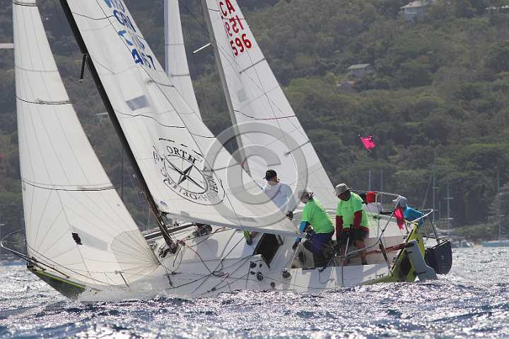 BER2019-0992.JPG