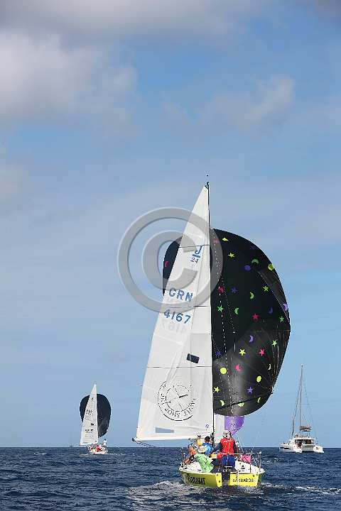 BER2019-1339.JPG