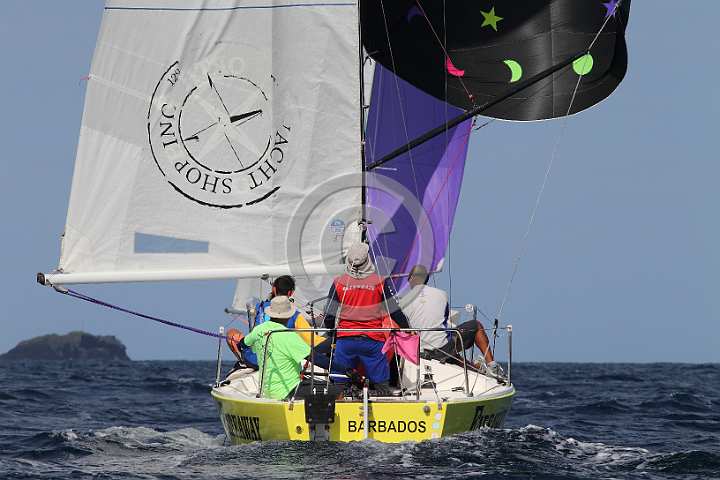 BER2019-1466.JPG