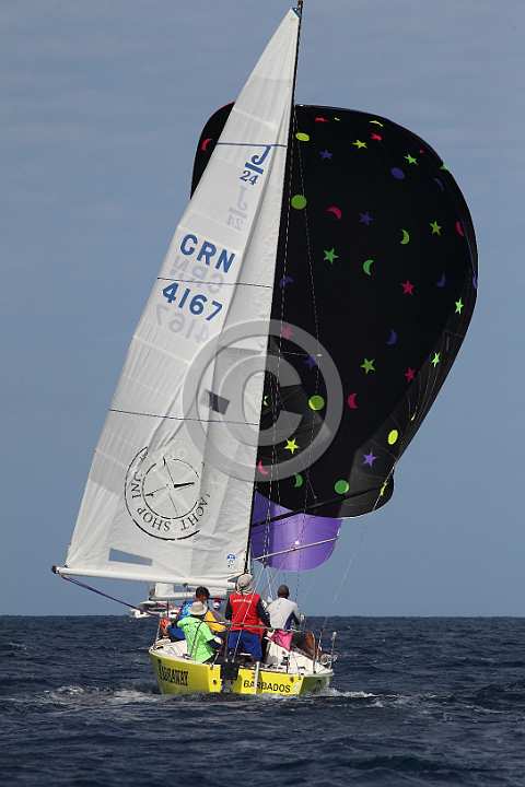 BER2019-1469.JPG
