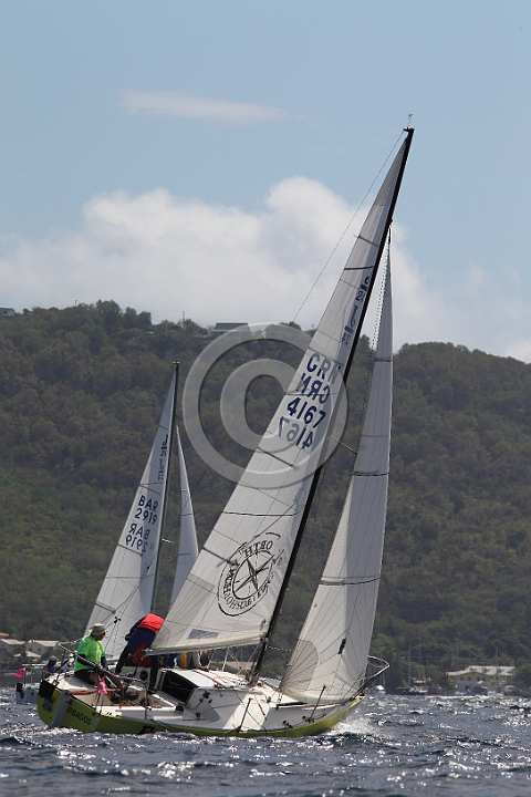 BER2019-1503.JPG