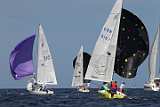 BER2019-1461