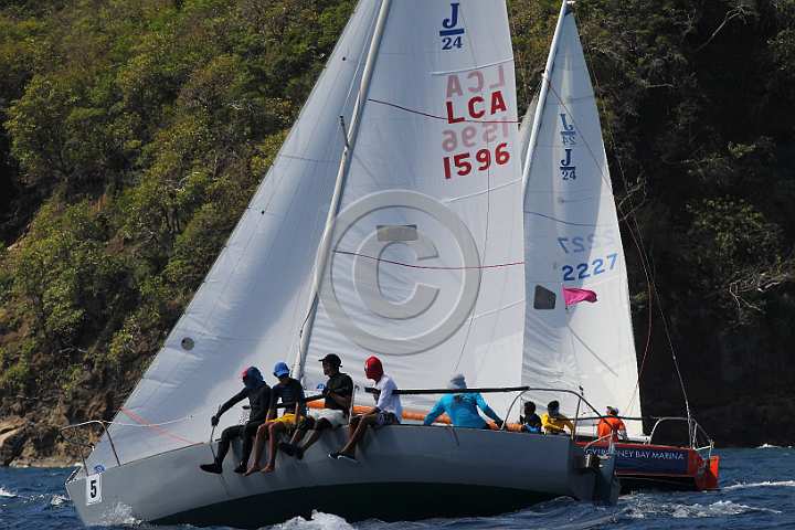 BER2019-1013.JPG