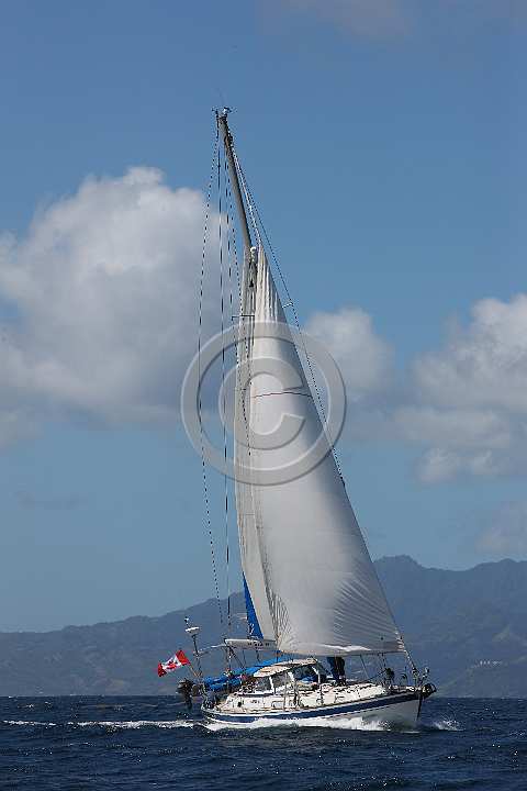 BP180426-0058.JPG