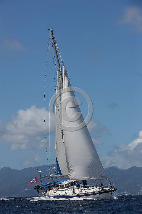 BP180426-0062.JPG