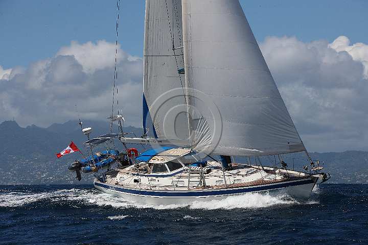 BP180426-0064.JPG