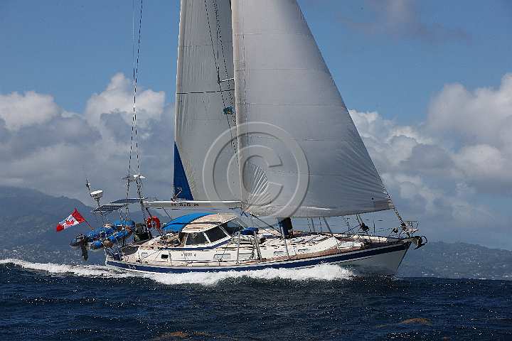 BP180426-0066.JPG