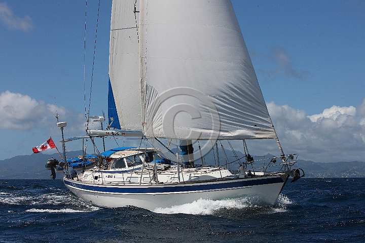 BP180426-0073.JPG