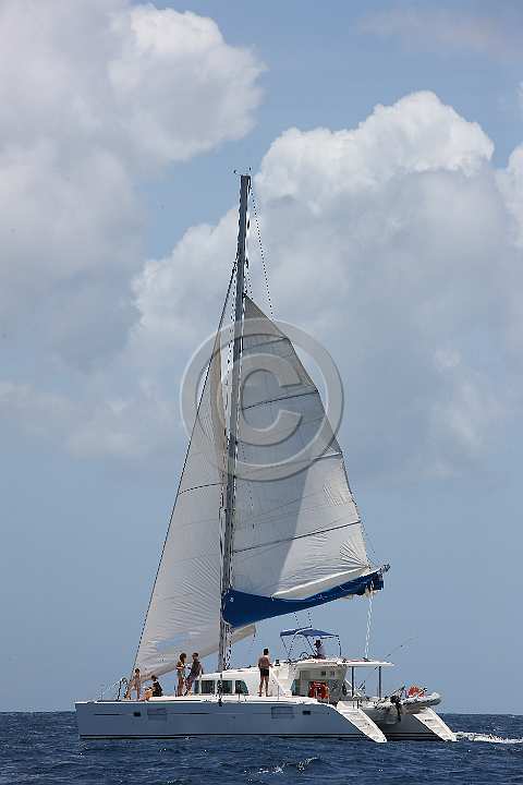 BP180429-0059.JPG