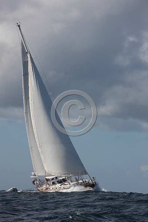 BP180809-0144.JPG