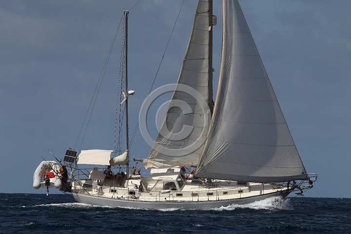 BP180724-0148.JPG
