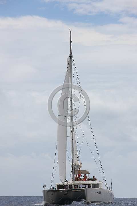 BP180708-0081.JPG