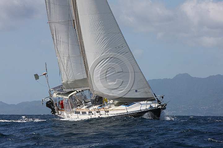 BP180722-0185.JPG