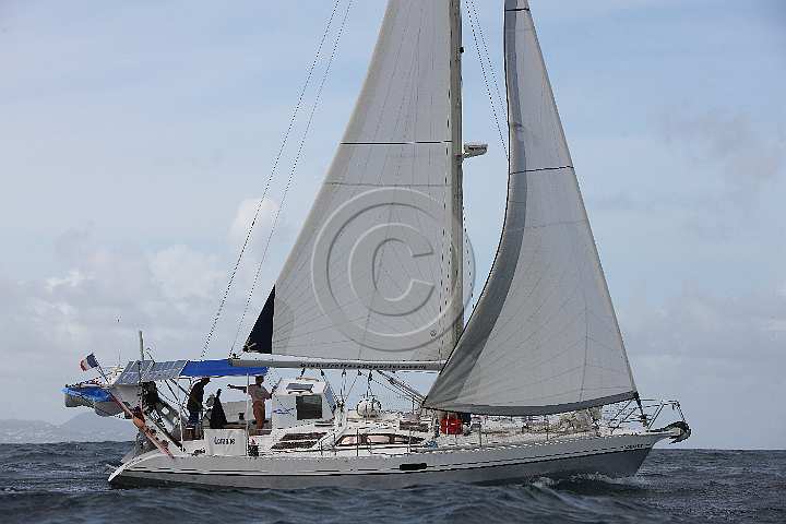 BP180619-0073.JPG