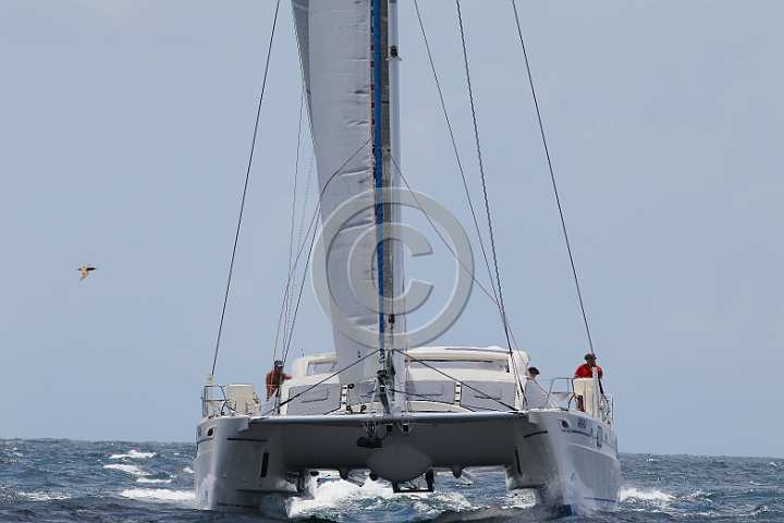 BP180507-0071.JPG