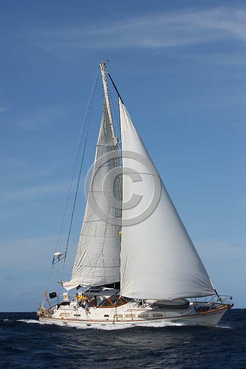 BP180516-0175.JPG