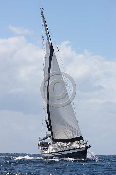 BP180528-0036.JPG