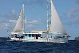BP180529-0034