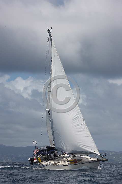 BP190411-0032.JPG