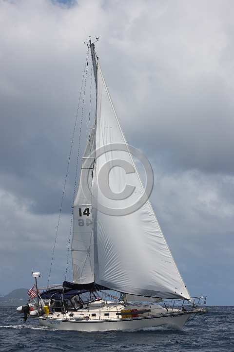 BP190411-0034.JPG