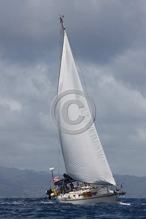 BP190411-0064.JPG