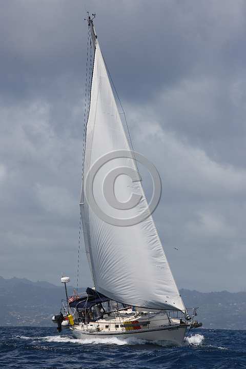 BP190411-0066.JPG