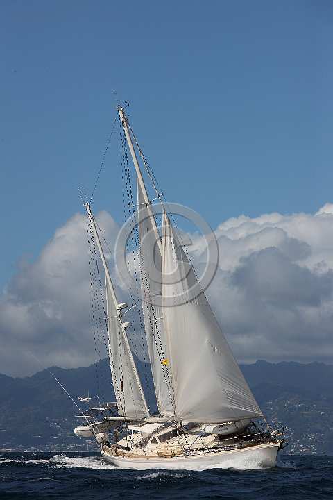 BP190415-0429.JPG