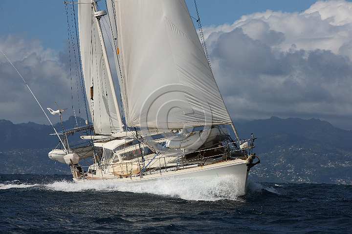 BP190415-0434.JPG