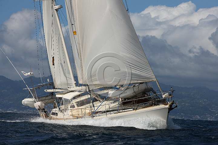 BP190415-0436.JPG