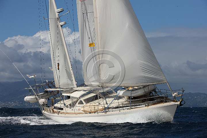 BP190415-0437.JPG
