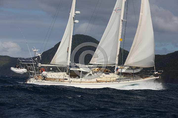 BP190415-0443.JPG