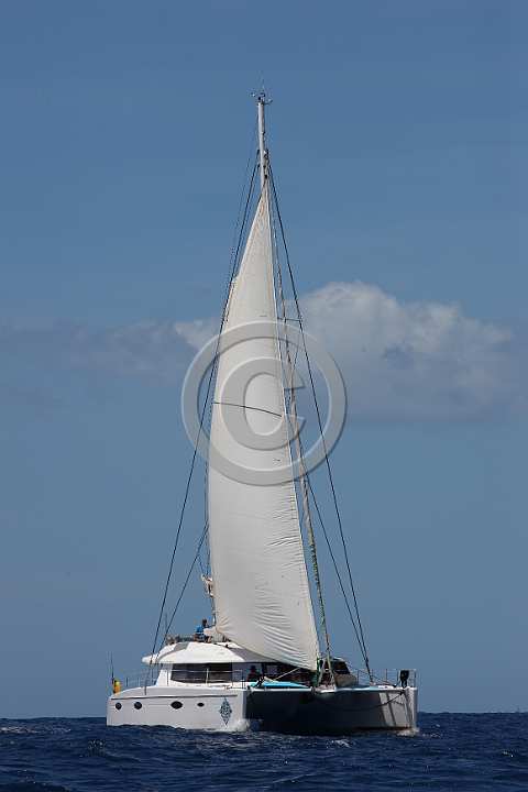 BP190401-0026.JPG
