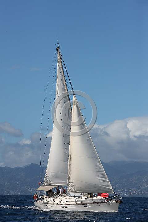 BP190415-0319.JPG