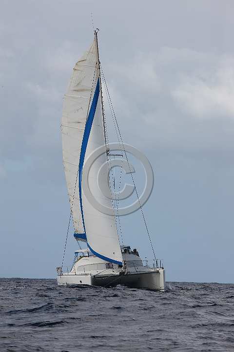 BP181203-0138.JPG