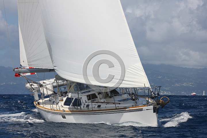BP181219-0057.JPG