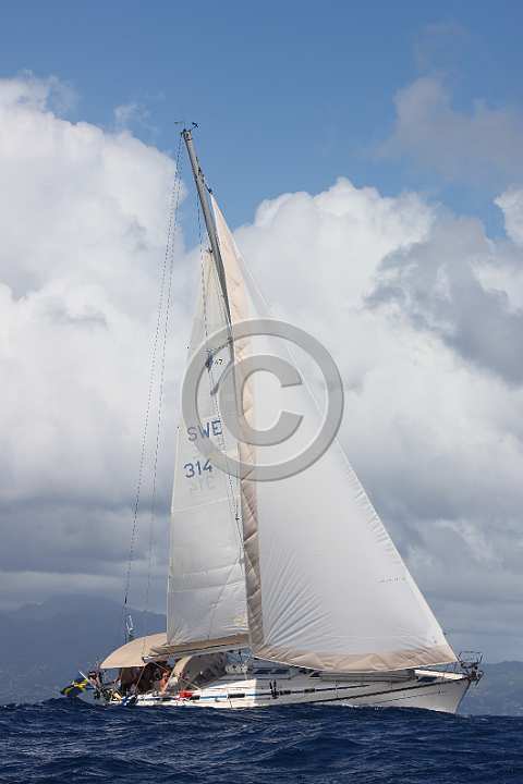 BP181203-0040.JPG