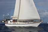 BP181204-0131