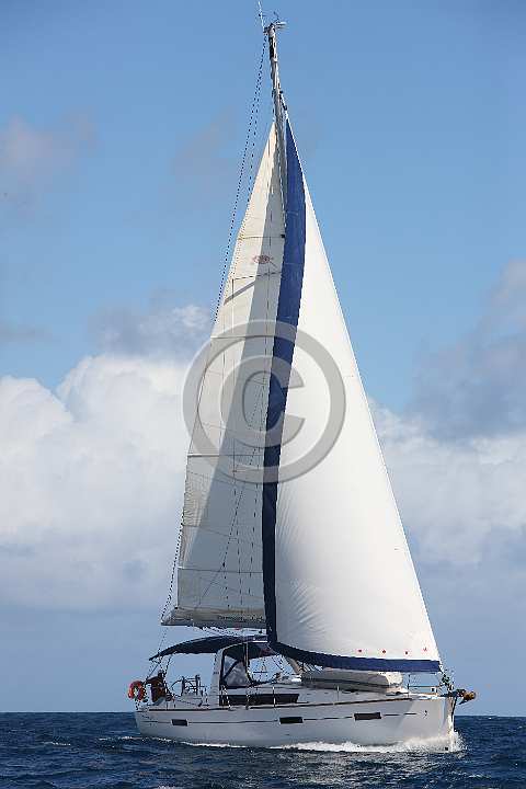 BP190205-0154.JPG