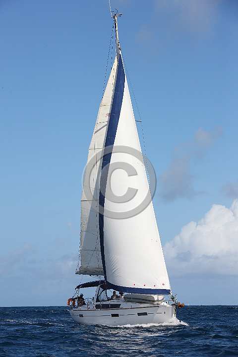 BP190205-0156.JPG