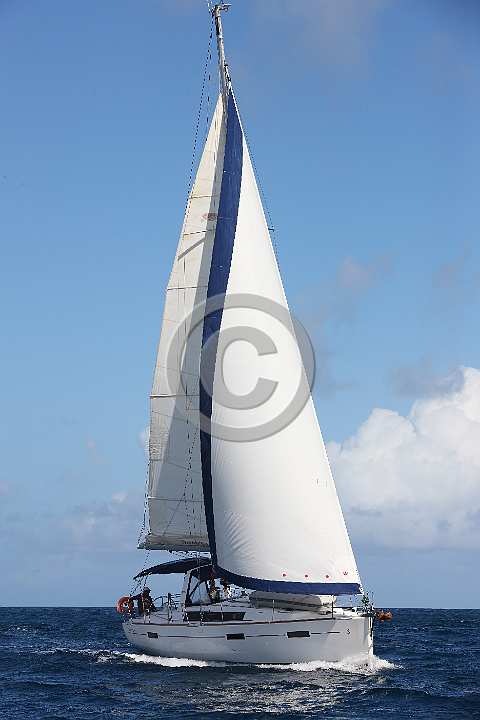 BP190205-0158.JPG