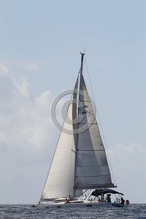 BP190205-0172.JPG