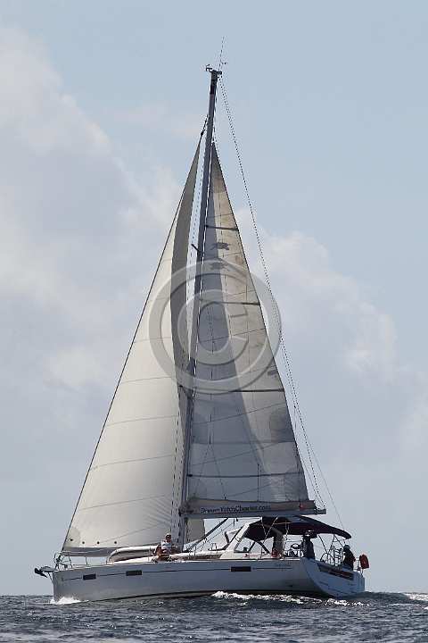 BP190205-0174.JPG