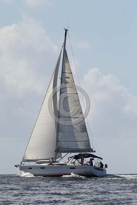 BP190205-0175.JPG