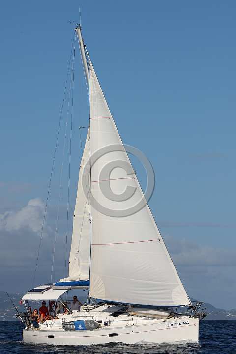 BP190205-0380.JPG