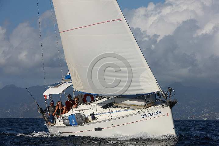 BP190205-0389.JPG