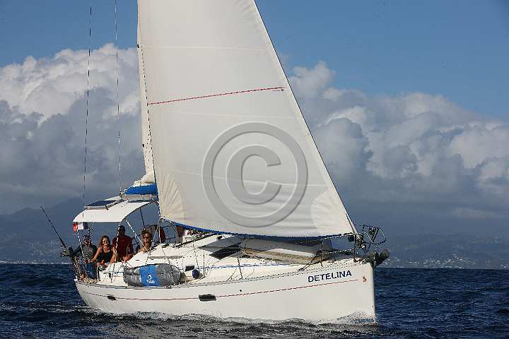 BP190205-0390.JPG