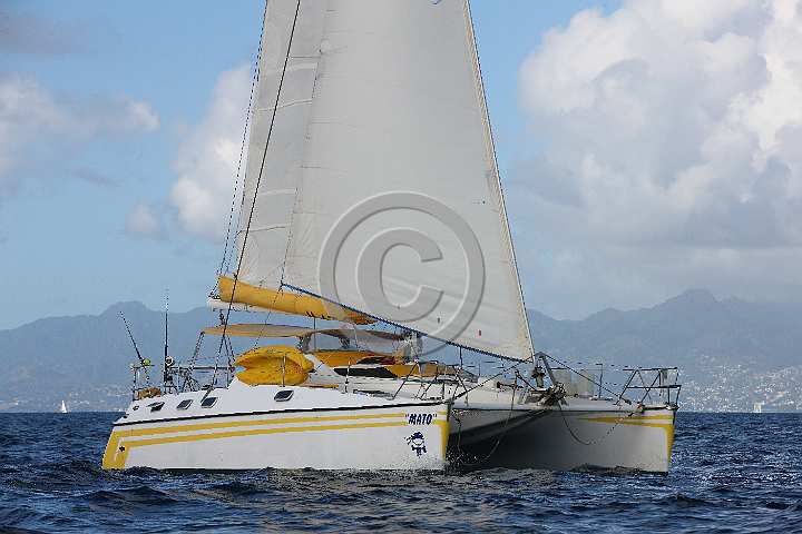 BP190206-0323.JPG