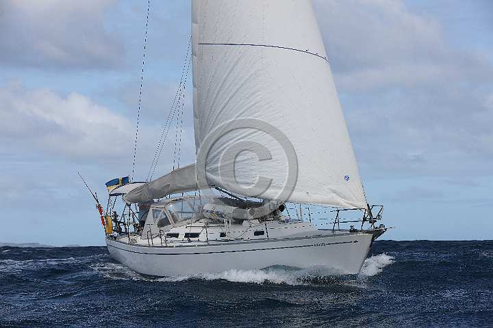 BP190219-0085.JPG