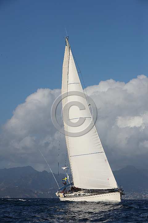 BP190205-0341.JPG