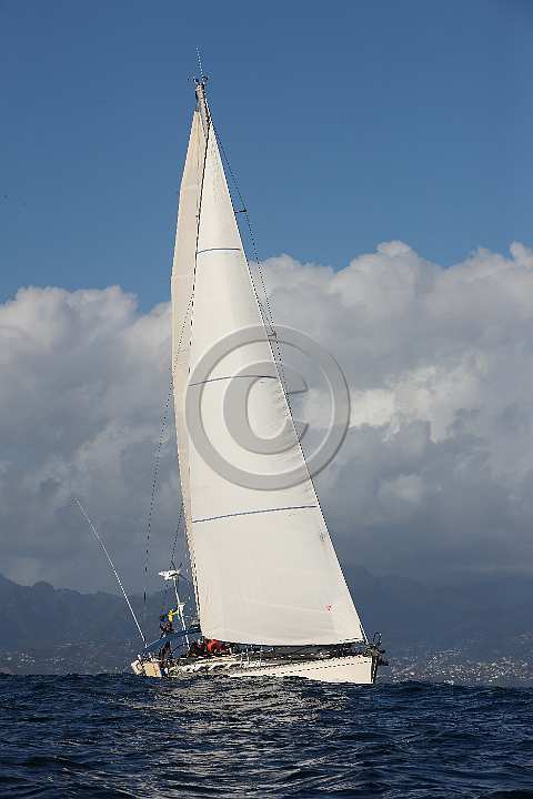 BP190205-0343.JPG